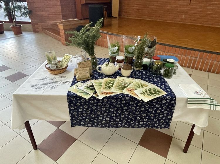 Előadás a gyógynövényekről