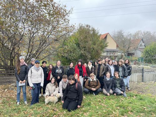 Menhelyi látogatás: Farkcsóválás és jutifalatok